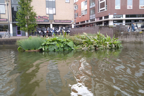 Dutch Water Tech maakt biobased waterplanteilanden op Green Chemistry Campus dankzij stimuleringsregeling