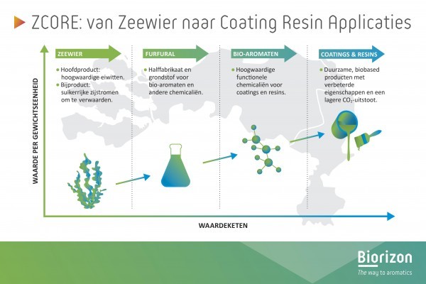 ZCORE-project benut zeewierreststromen voor superieure bio-coatings