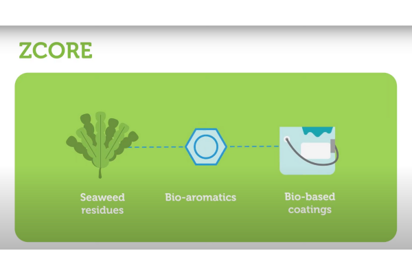 ZCORE project animatie: bio-verf met superieure eigenschappen uit zeewierreststromen